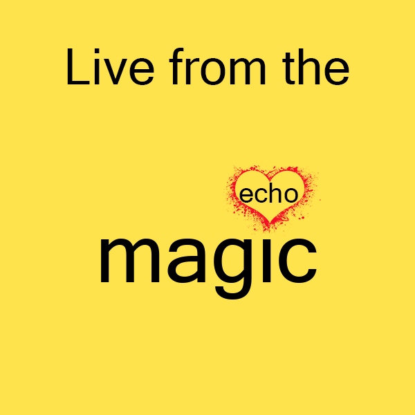 Magic echo logo